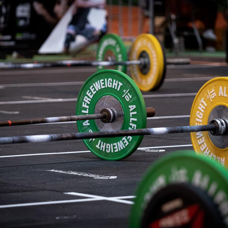 Professional gym with weight equipment